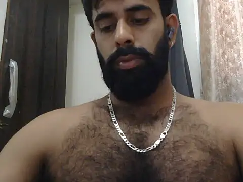 indianhairybull live