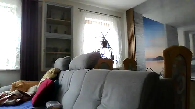 Geiler668 live