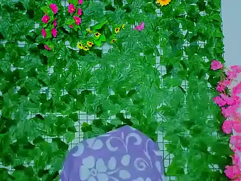 asshoney_Abby live