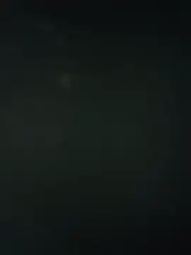 sarah_miller3 live