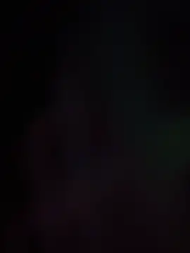 BunnyYT live