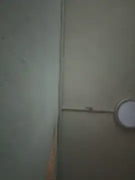 amara_wet04 live