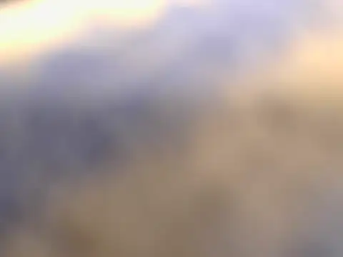 Armorpie live