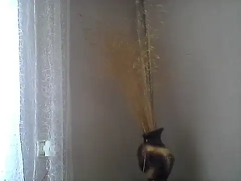Littlecatme live