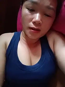 Vivy-1 live
