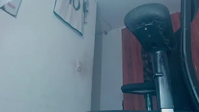 theskateboy live