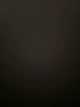 argentvifal live