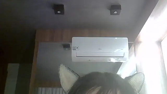 SkinnyKitten live