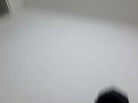 Elperrotexxx live