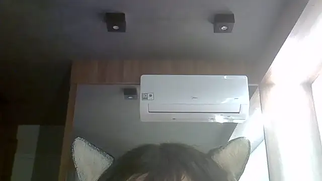 SkinnyKitten live