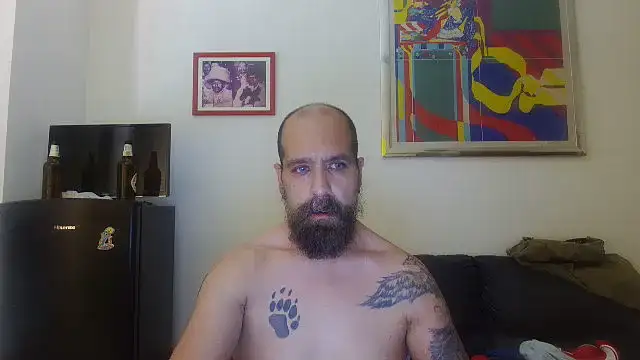 AMIRDIB2025 profile