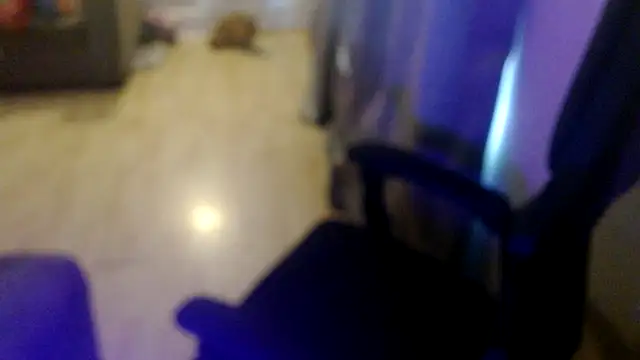 stacybanks live