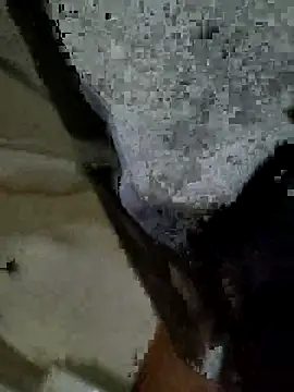 Shkytgv live