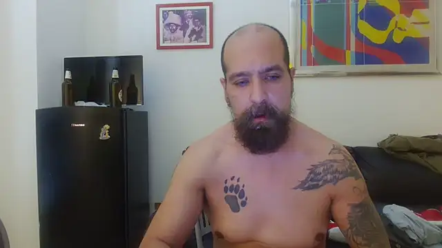 AMIRDIB2025 live