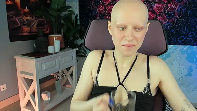 LidaDarknet live