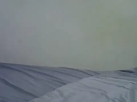 lisa_grif live