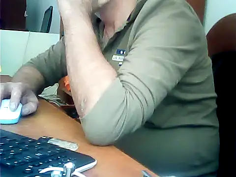 zormen355 live