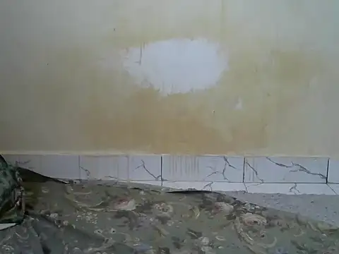 sexyzena_ live