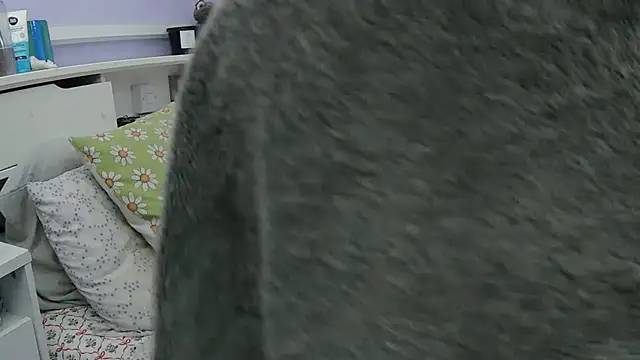 vegan_footqueen live