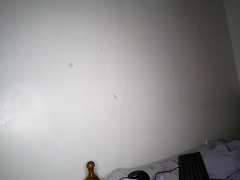 mis_velvet live