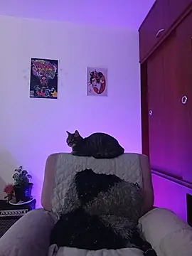 Raventh_ live