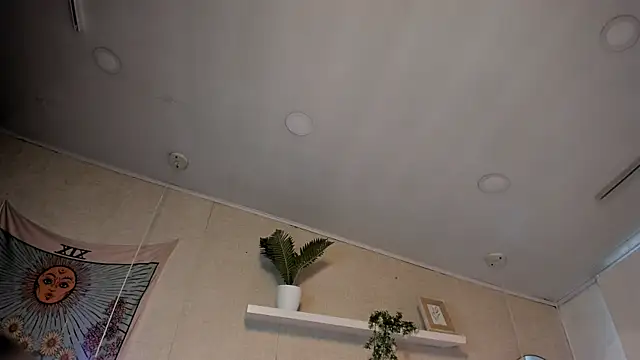 Honey_Sofi live