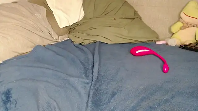 Raycatt1 live