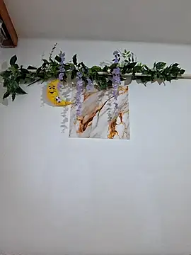 Nika_aa live