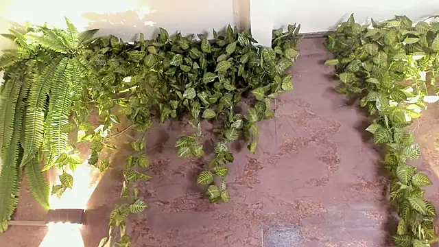 emily_hunter12 live