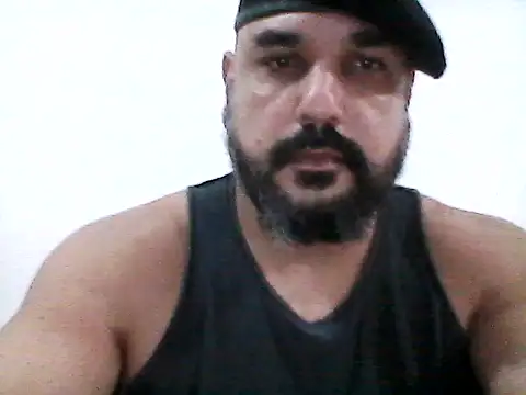 stallony live