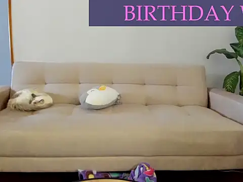 AmandaCallum live
