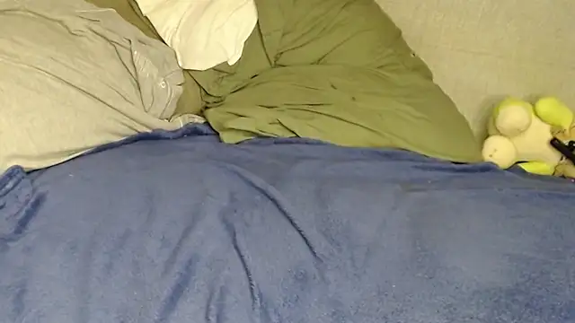 Raycatt1 live