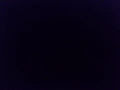 kisskittyX live
