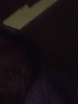 TheLillyHagan live