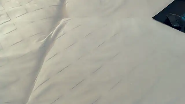 Ass_Lovss live