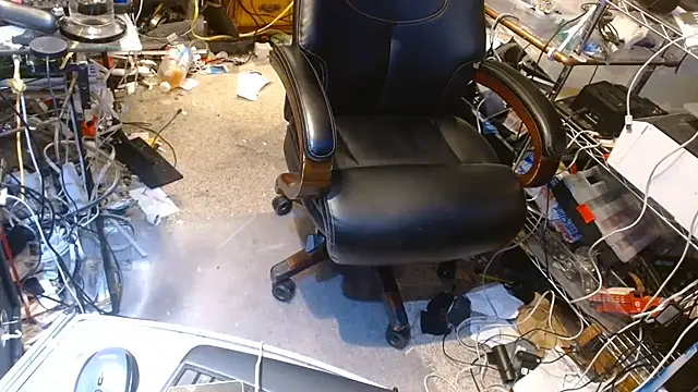 ctguybj live