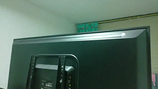 Roselle_Mochi live