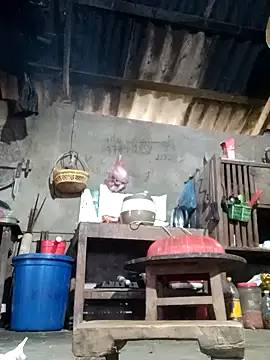BaoHan22 live