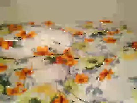 prittyprincessa live