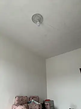 daaqnn live