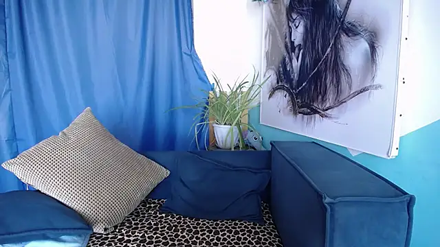 cornflower_mm live