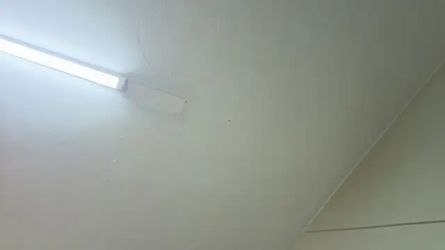 mia_adams_bm live