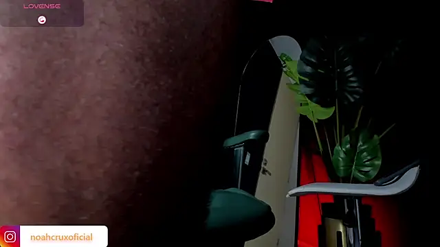 noah_crux live