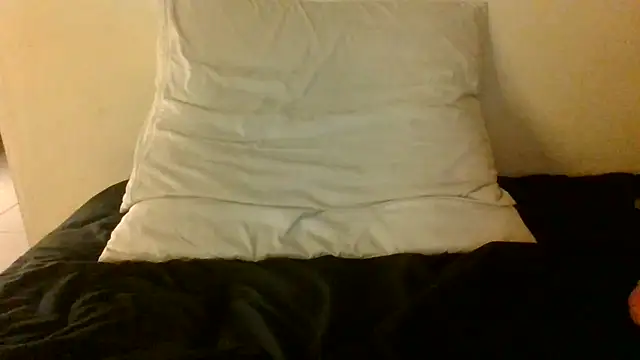 Icepappi live