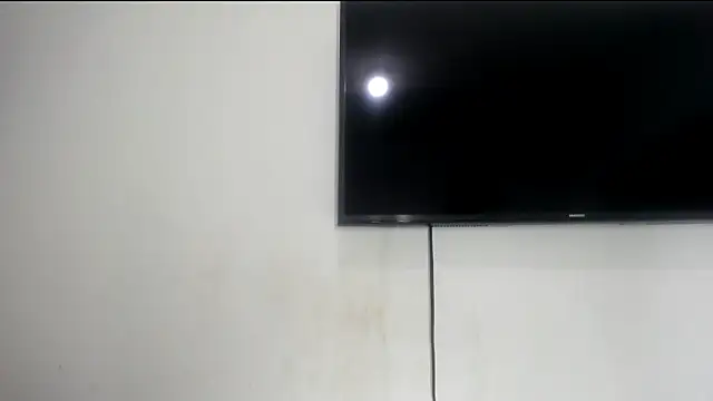 Fox_Loves live