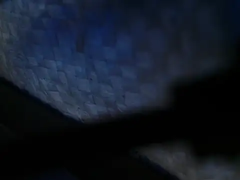 NaughtyDee01 live