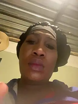 Moorella1 live