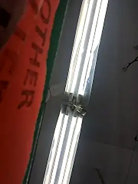 ProperCoach18 live