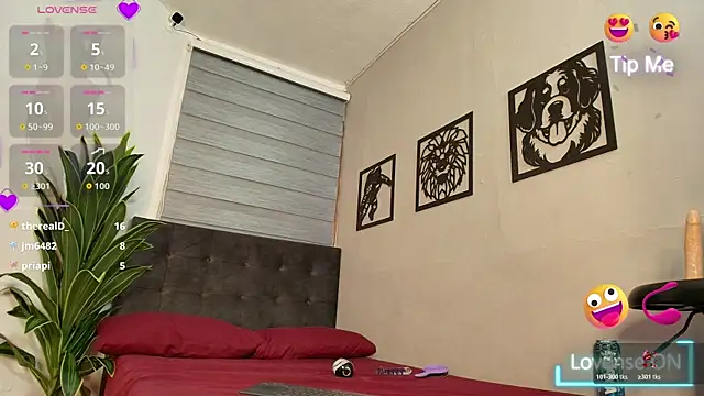 velory_fire live