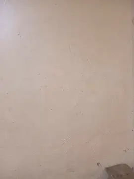 AnalHoleQueen69 live